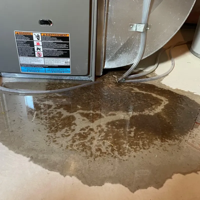 Appliance Leak Cleanup in Rolesville, NC