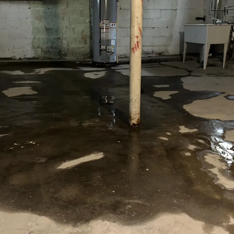 Emergency Water Extraction And Removal in Rolesville, NC